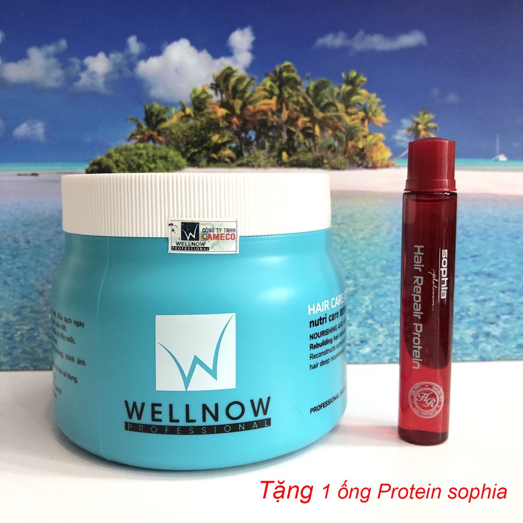 {Tặng 1 ống protein sophia} HẤP Ủ TÓC TẠI NHÀ WELLNOW HƯƠNG DỪA 500ML