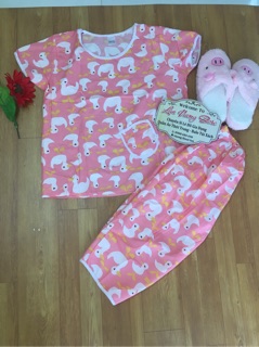 set bộ lửng kate  vịt