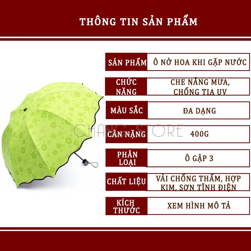 Ô Ma Thuật Nở Hoa Khi Gặp Nước Tiện Lợi