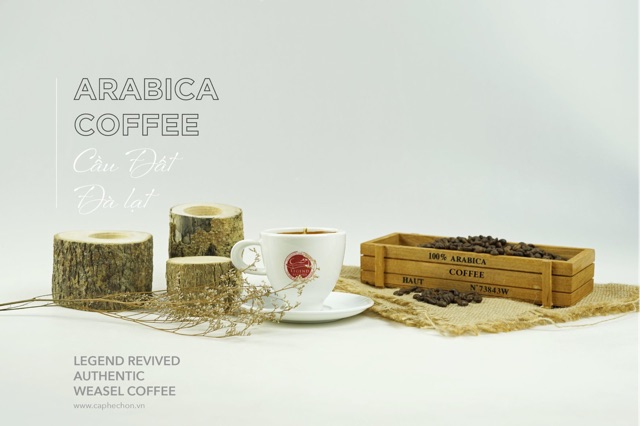 Cà phê Arabica
