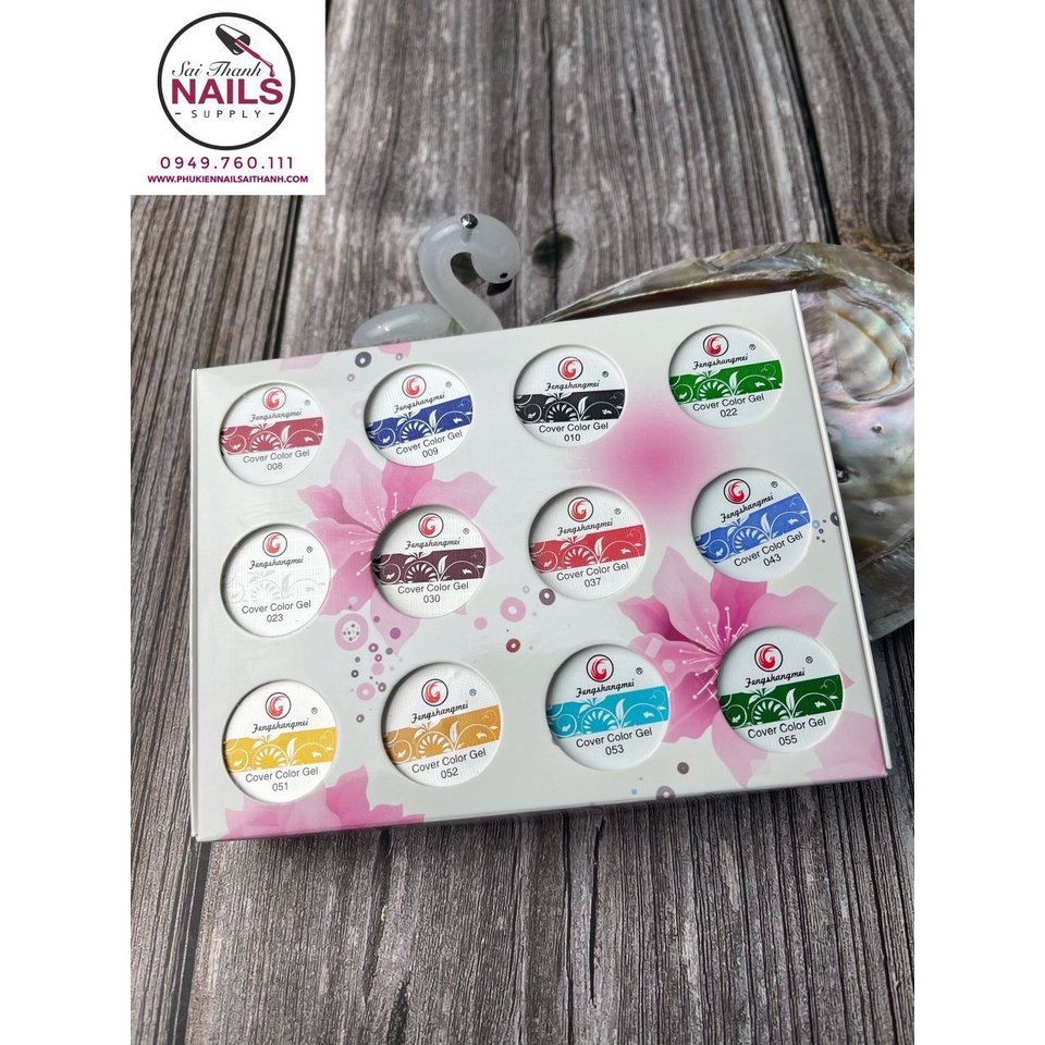Set gel vẽ nail Fengshangmei chính hãng - gel vẽ nổi chất đậm đặc 12 màu chuyên dụng chuẩn gel cho nail, làm móng