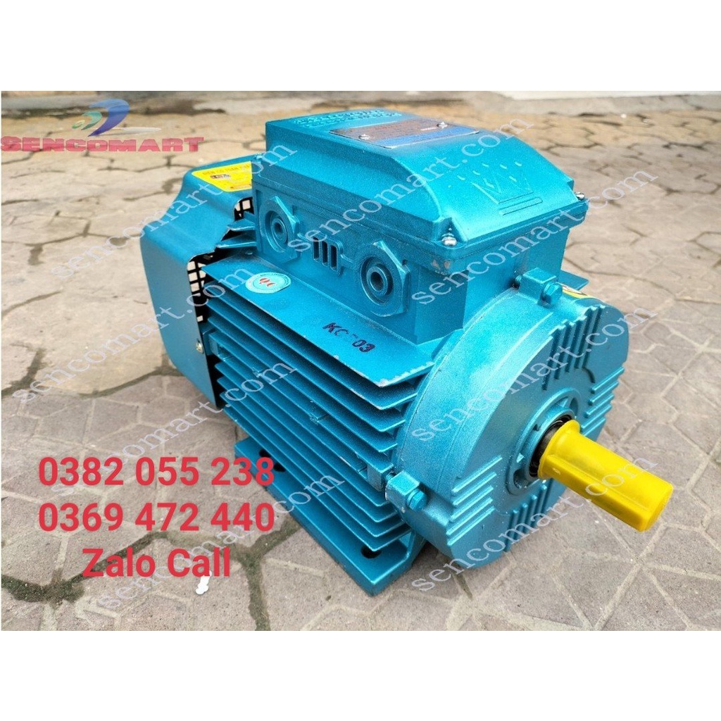 Mô tơ điện 1 pha 3kw, động cơ dây đồng