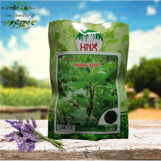 Hạt Giống Rau Húng Quế HNX 10gr