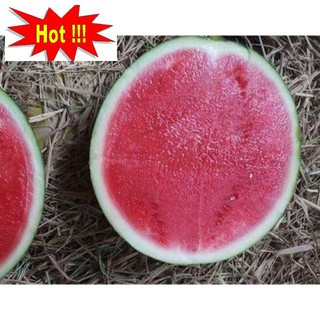 Hạt Giống Dưa Hấu Không Hạt - 10 Hạt