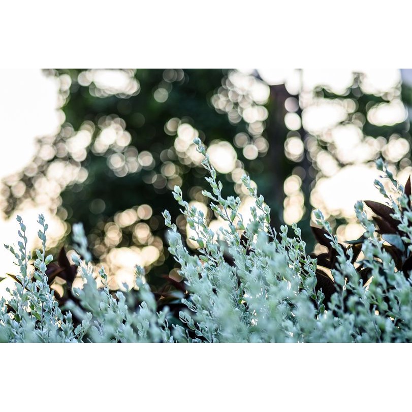 Ống Kính Viltrox AF 85mm F1.8 Ngàm Z, XF, RF, FE