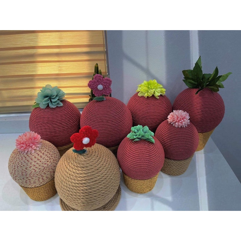 BÀN CÀO MÓNG CHO MÈO CAO CẤP HÌNH CÂY XƯƠNG RỒNG