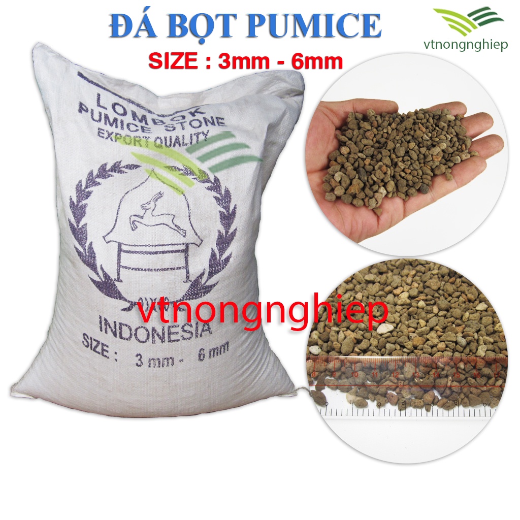 Đá Pumice Indonesia Premium, gói 500g, Size 1-2cm, 5-8mm, 3-6mm, trộn đất trồng sen đá, xương rồng, hoa hồng, kiểng lá