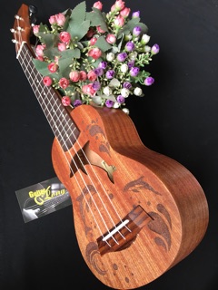 Đàn Ukulele Soprano CV-550 CB2