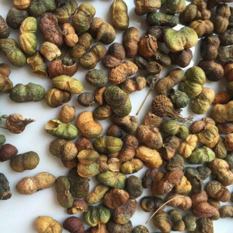 Sỉ toàn quốc hạt tam thất khô 500g - 1kg