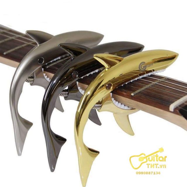 Capo guitar cá mập