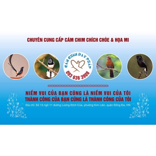 Cám chim Đạt Pháp - Cám chim chích choè số 1