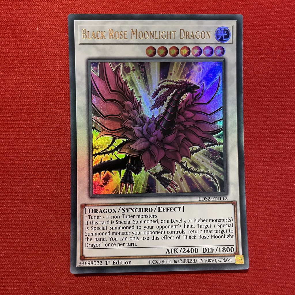 Black Rose Moonlight Dragon