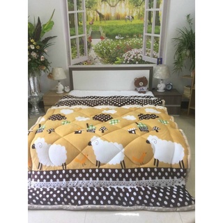 [ GIÁ SỈ ] Chăn lông cừu 3 lớp dày siêu ấm phồng ( Ảnh tự chụp 100%)
