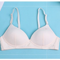 Bra / Áo Ngực Cotton Hình Mèo Nữ Sinh Xuất Đông Âu ( AL203 ). | BigBuy360 - bigbuy360.vn