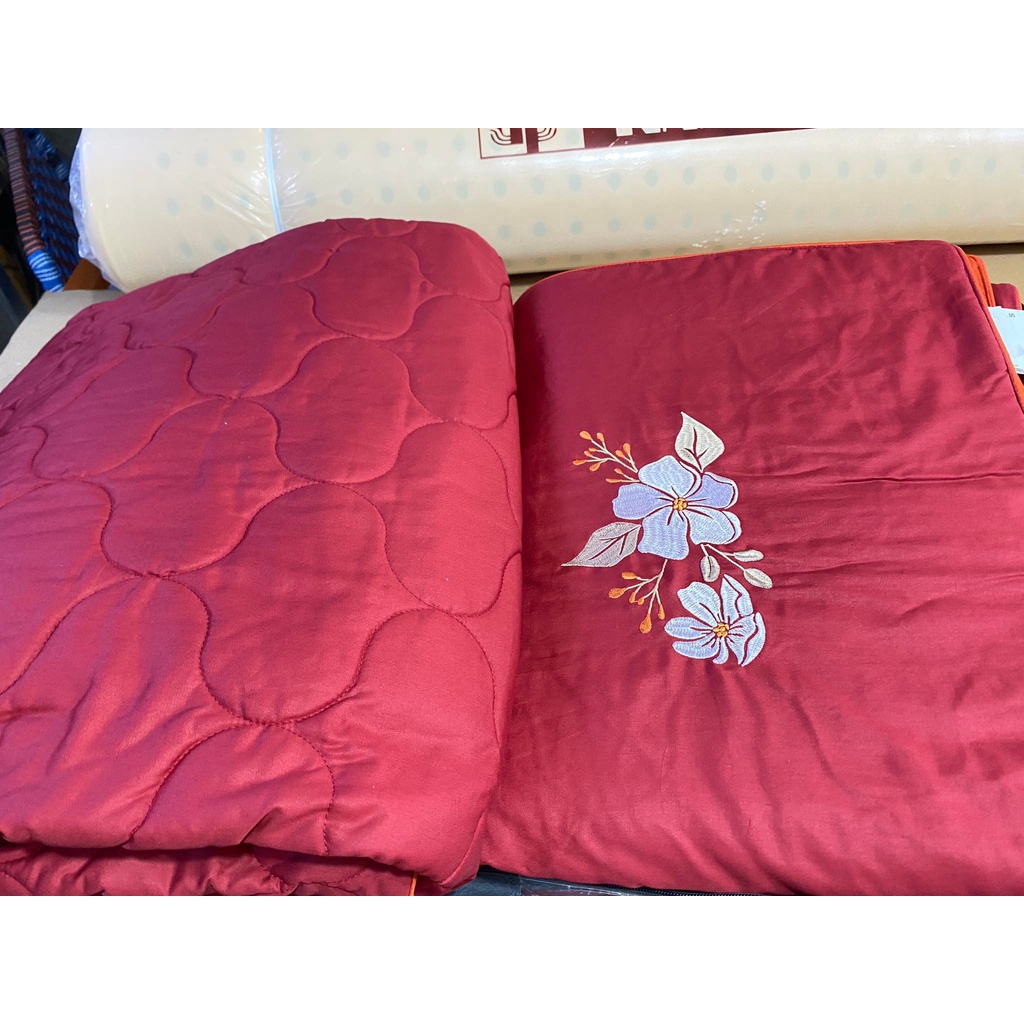 Bộ Drap chun chần EVERON MDSC092