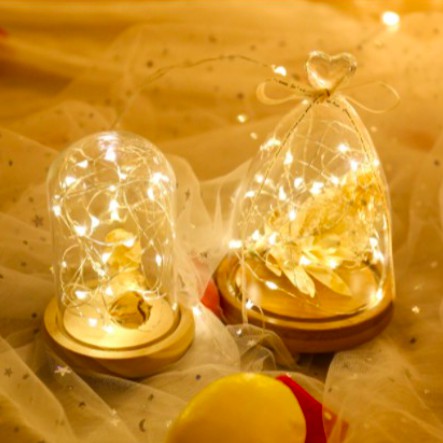 Dây đèn Led fairylight, dây đèn đom đóm 3 mét dùng pin Maydecor