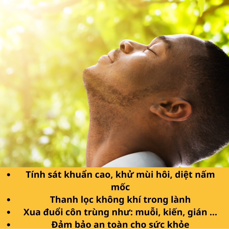 Tinh Dầu Sả Chanh Nguyên Chất Dạng Chai Xit Mệ Đoan 100ml Xịt Muỗi Cho Bé Tinh Dầu Chanh Xả Đuổi Côn Trùng Gián Kiến