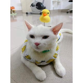 KẸP HÌNH CON VỊT, CON GÀ CHO THÚ CƯNG