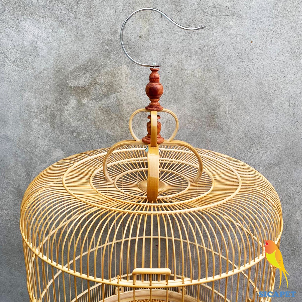 Lồng chim biên hòa dũi chỉ, Lồng chích chòe, White-rumped shama cage, Copsychus saularis SICAPET