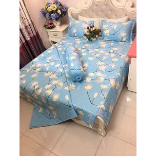SÉT PHỦ TRẦN BÔNG POLY