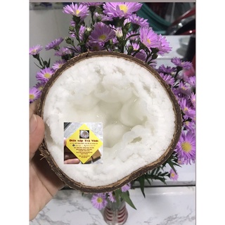 Dừa sáp Trà Vinh Loại 1 (từ 1kg-2kg)