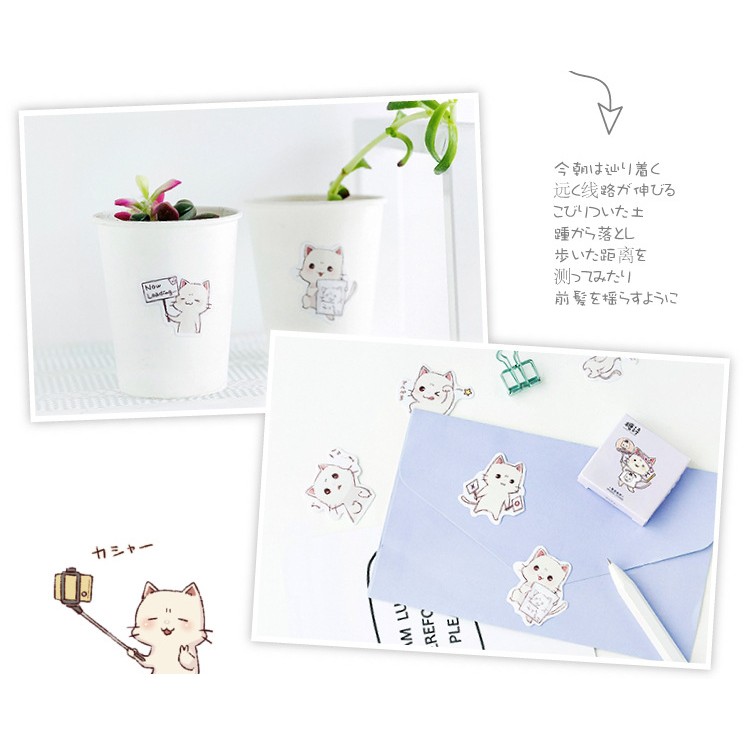 Hộp 45 miếng sticker mẫu mèo trắng đáng yêu