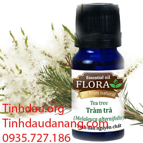 Tinh dầu Tràm trà