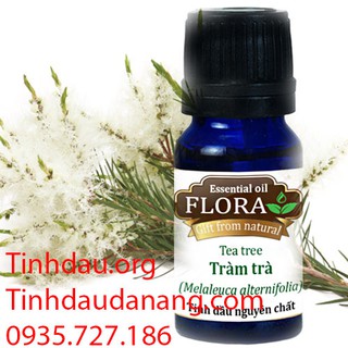 Tinh dầu Tràm trà