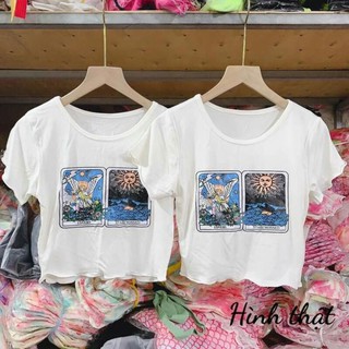 Croptop trắng in hình