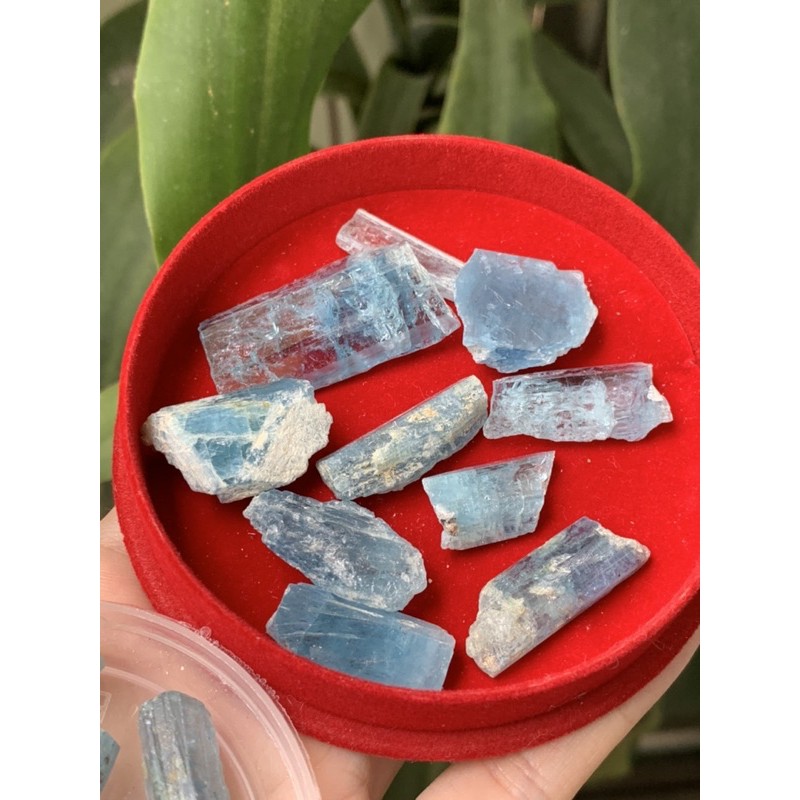 Set tinh thể đá Aquamarine sưu tầm - trang trí - làm handmade