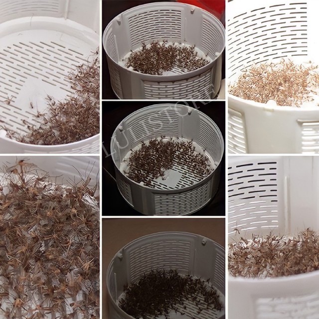 [Loại 1] Đèn Ngủ Bắt Muỗi, Diệt Côn Trùng Killing Mosquito Cắm cổng USB