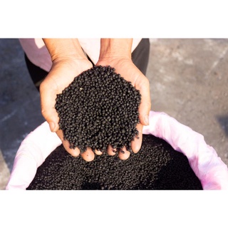 Phân DAP 1kg0556
