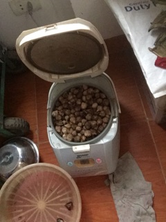 Tỏi đen cô đơn nhà làm