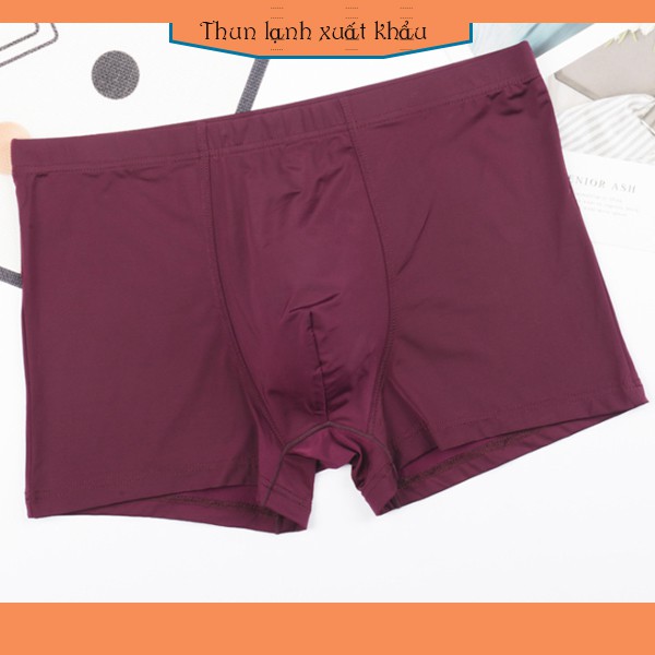 Quần sịp nam thun lạnh cao cấp dạng Boxer - Thương hiệu Việt: BADBIRD