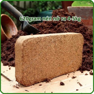 Đất nén dạng viên xơ dừa 500gr hữu cơ vi sinh dinh dưỡng