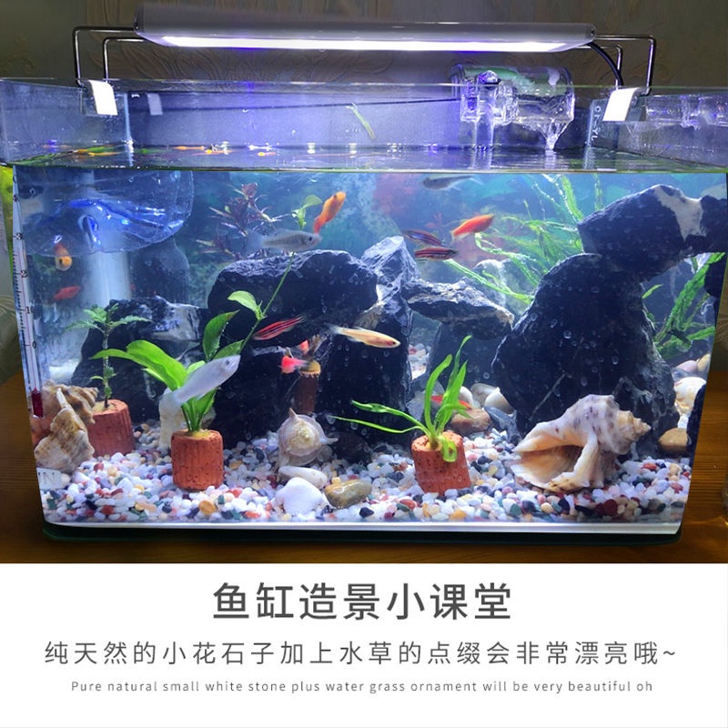 Đá Sỏi Pha Lê Tự Nhiên 1kg Nhiều Màu Dùng Trang Trí Bể Cá / Chậu Hoa