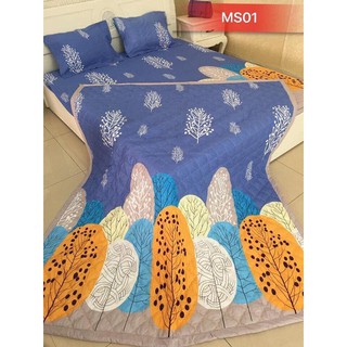 Bộ chăn ga gối cotton poly