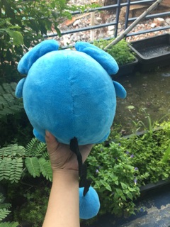 Gấu bông pokemon Marill