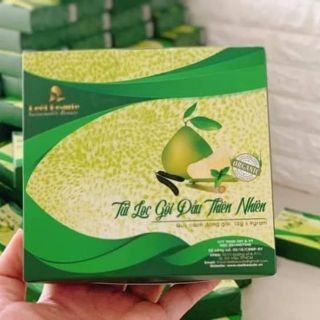 ( XẢ )Túi lọc gội đầu thiên nhiên dòng phổ thông cải tiến