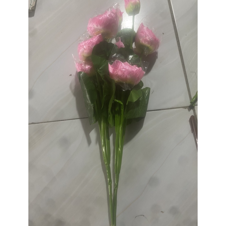 combo hoa sen lụa - hoa sen trang trí