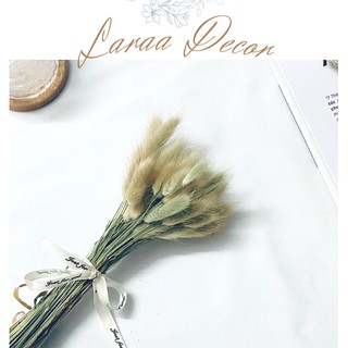 Chùm Cỏ Đuôi Thỏ Laraa Decor - Màu trắng kích thước 30-40cm - Dùng trang trí kết hợp với một số loại Hoa khác