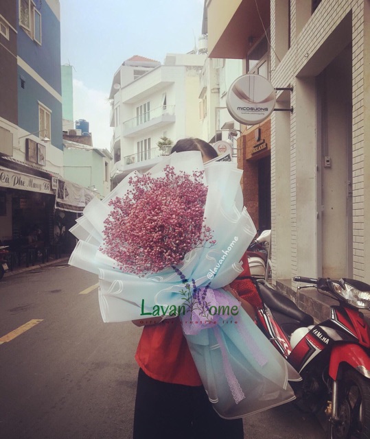 Bó hoa khô baby hồng - Quà tặng các dịp lễ như 20/10, 20/11, lễ giáng sinh, lễ tình nhân, 8/3 hay sinh nhật, tốt nghiệp | BigBuy360 - bigbuy360.vn