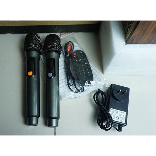 Loa Kéo Karaoke Bluetooth A20