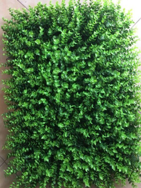 Thảm cỏ tai chuột nhân tạo kích thước 40x60cm trang trí không gian