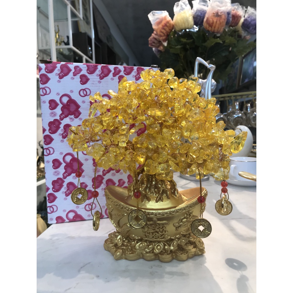 Cây thần tài, cây tài lộc chậu thỏi vàng phát tài phát lộc