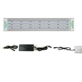 Đèn Led Odyssea Slim X tiết kiệm điện cho bể thủy sinh, bể cá cảnh
