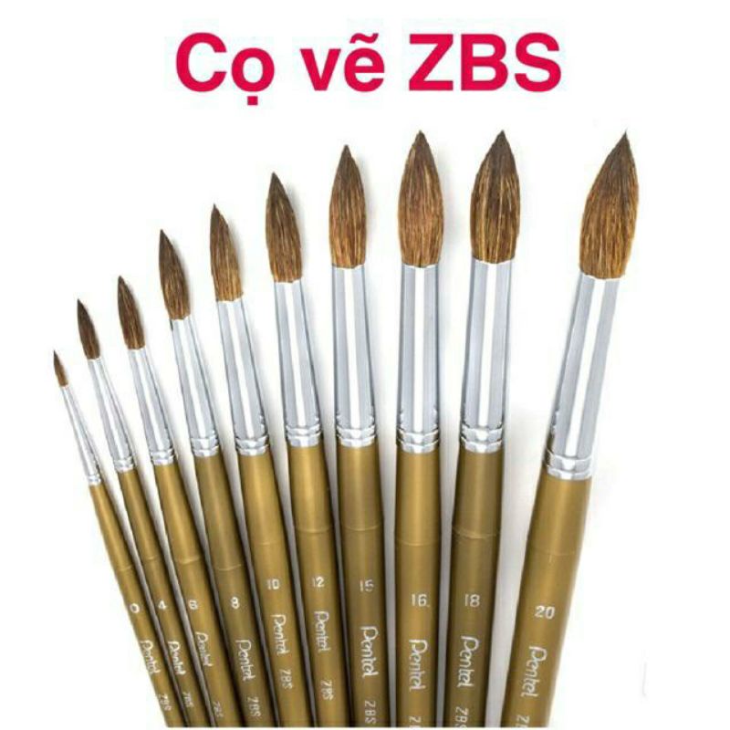 Cọ vẽ đầu tròn ZBS đầu tròn Pentel.