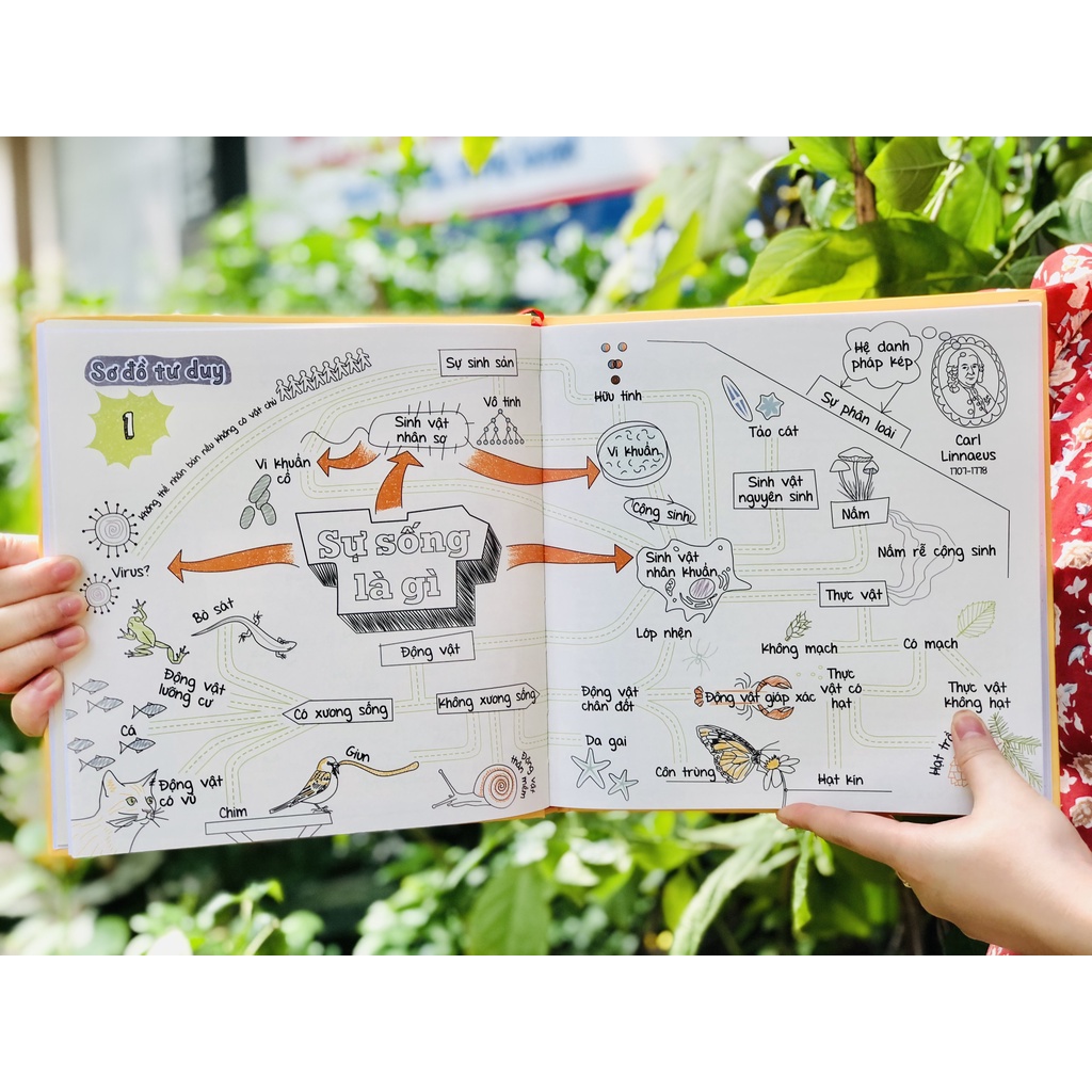 [GIẢM NGAY 35%] Sách: Sơ đồ tư duy Sinh Học - Biology Mind Map (bìa cứng, in màu)