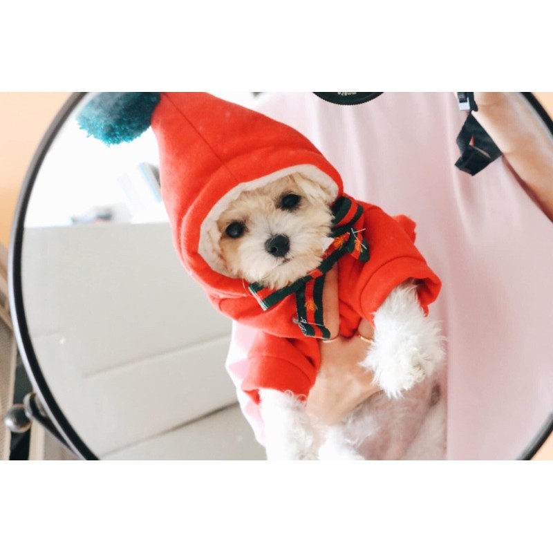 Áo nỉ hoodie thêu hình thỏ Cupid [Ảnh thật] [Có sẵn] - Đồ Noel chó mèo
