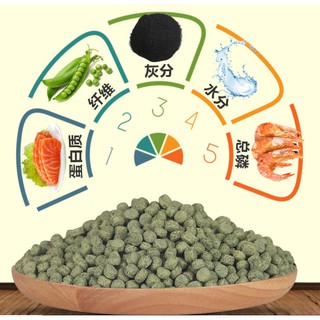 thức ăn cá Koi